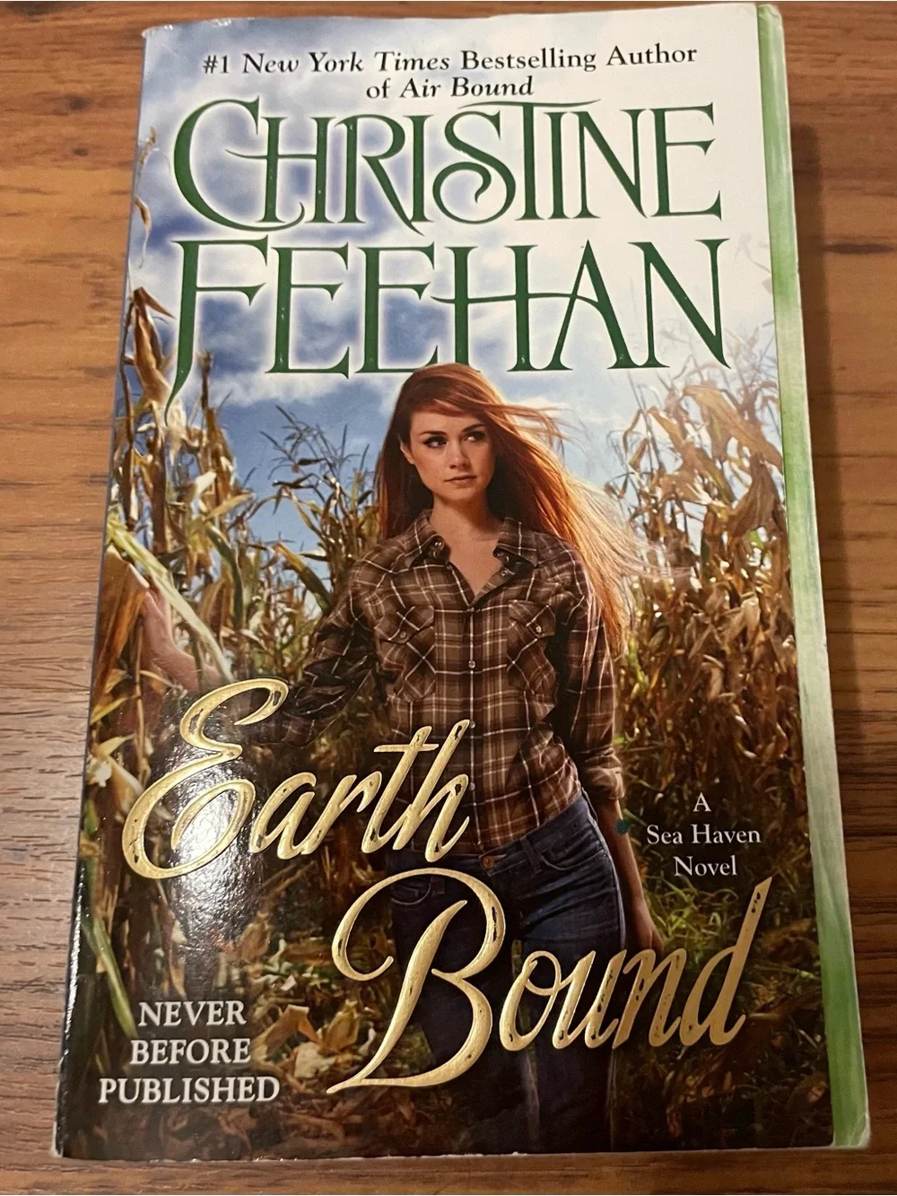 Earth Bound Paperback Book by Christine Freehan Book 4 in the Sea Haven Series